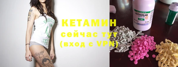 шишки Алексин