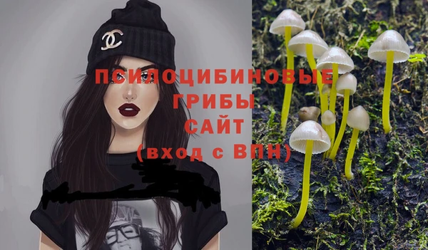 PSILOCYBIN Абдулино